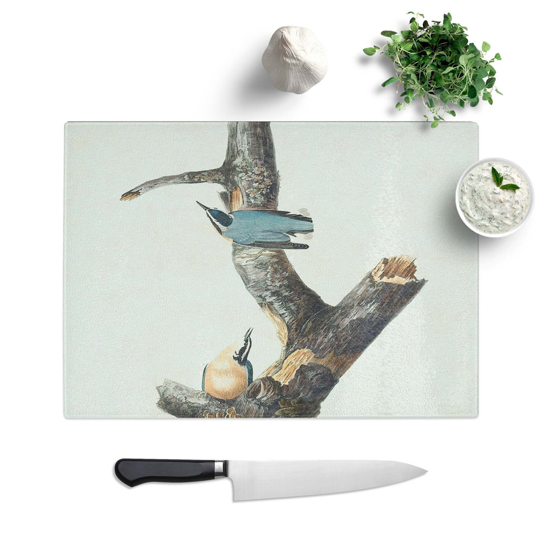 Tempered Glass Breasted Nuthatch Birds by John James Audubon Chopping Board