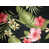 Hamakua Ebony Cotton