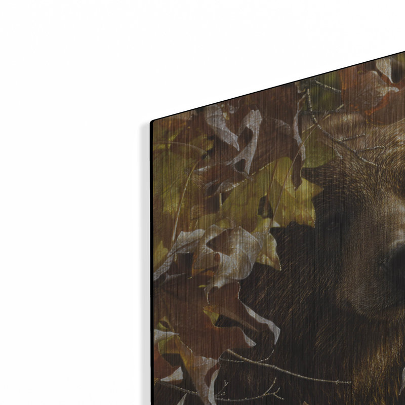 «Legend Of The Fall» par Collin Bogle, H 12 po x l 12 po
