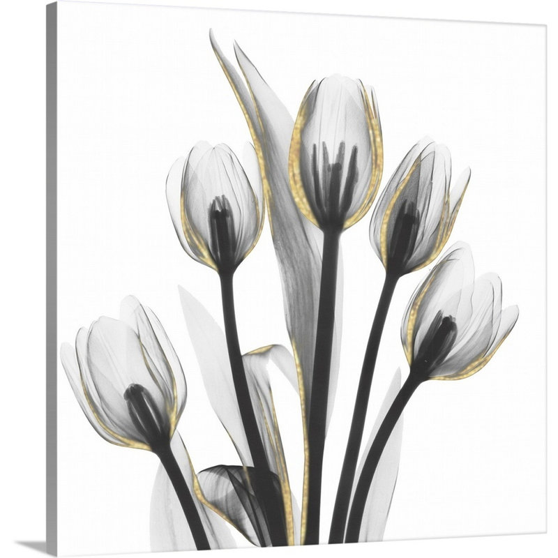 Reproduction d’art sur toile, "Gold embellies tulipes 1" par Albert Koetsier, H 16 po x l 16 po x P 1,25 po, Toile tendue