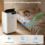 14 000 BTU Climatiseurs portatifs 4-en-1 Froid / Ventilateur / Déshumidificateur / Chauffage, 750 pieds carrés Couverture Ft, télécommande + DEL, sommeil et minuterie 24H pour le lit / salon