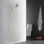 Pomme de douche multifonctionnelle-80609653