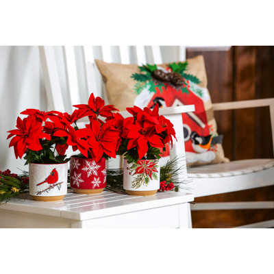 Niviarsiaq Ceramic Pot Planter
