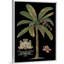 Palmier sur toile II noir, art mural-1989092787-1989092786