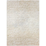 Chenille Abstract Indoor / Outdoor Rug