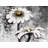 Abstract Daisies Flowers Print On Canvas