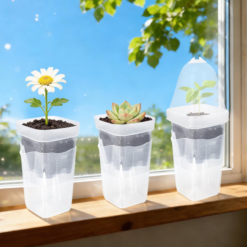 Lot de 12 pots à semis auto-irrigués avec mèches, dômes et étiquettes pour plantes