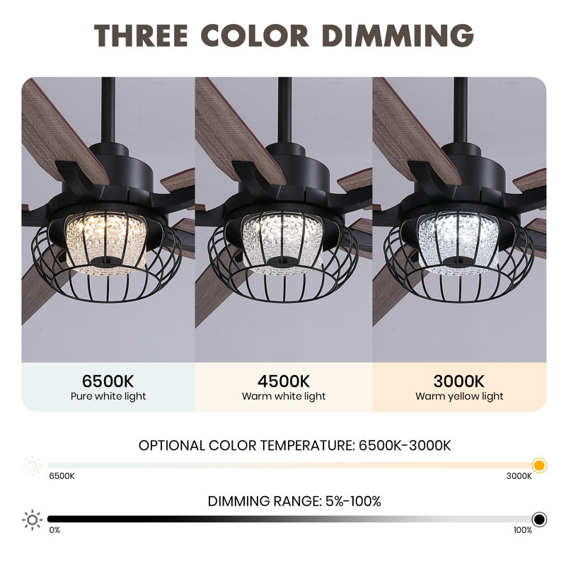 64'' Ceiling Fan With Led Lights