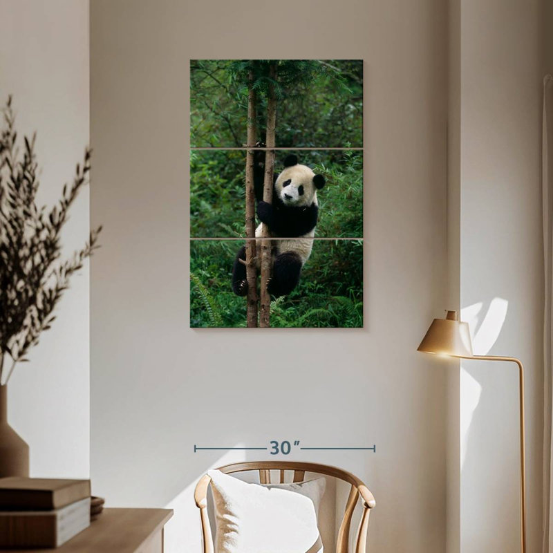 Brampt Climbing Panda, 57" H x 36" W