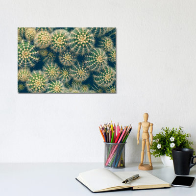 Cactus by Olivia Joy StClaire - Wrapped Canvas Print
