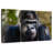 Mountain Gorilla-707319636