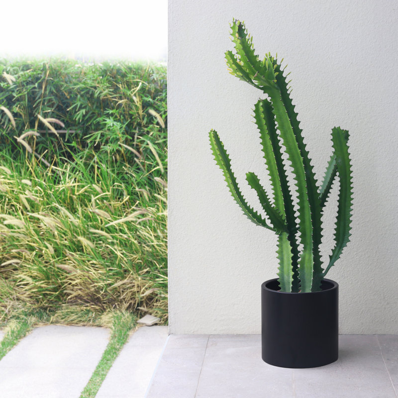 Ceramic Planter