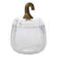 Translucent Pumpkin Terrarium 8.75"X8.75"X12.75"