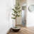 Artificial Olive Tree - 2-Pack-1080715539
