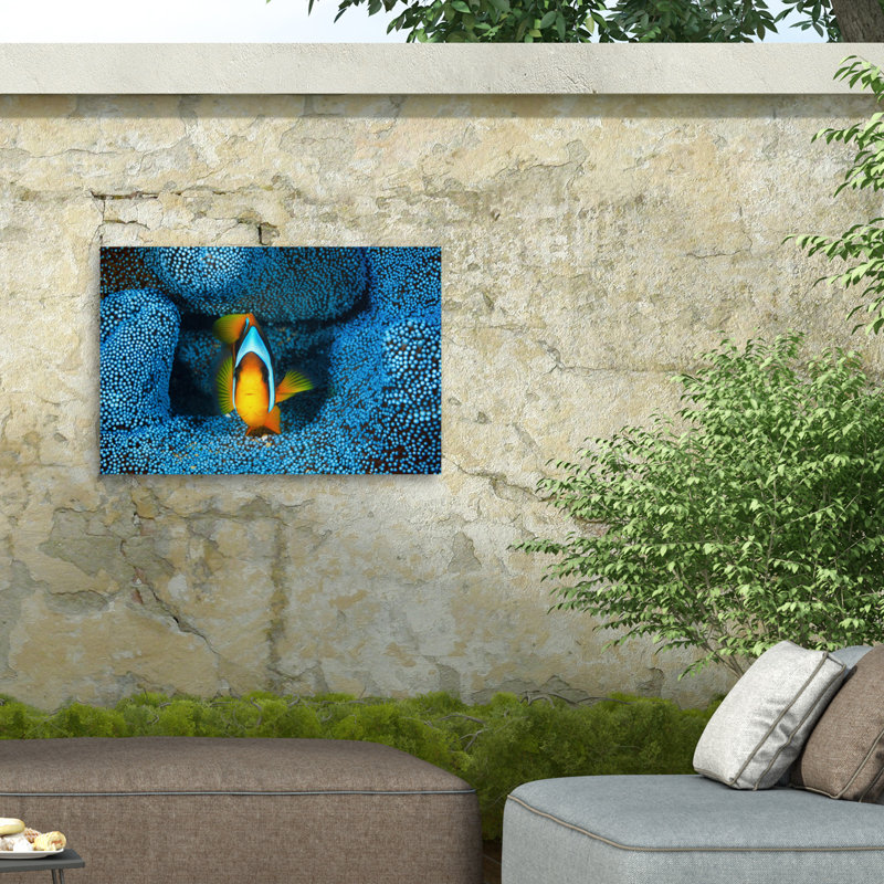 «Clownfish» en bleu sur toile par Barathieu Gabriel, H 12 po x l 19 po