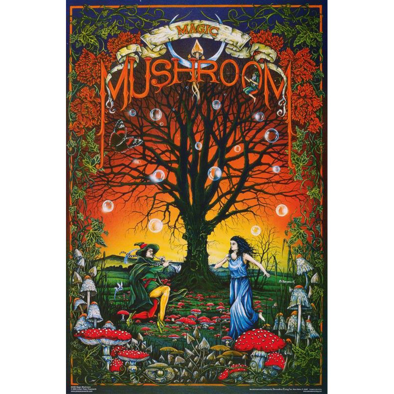  Officiellement licencié champignon magique - affiche d'art rétro de danse - 23 x 35 pouces - reproduction décorative - papier affiche - prêt à encadrer