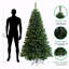 Arbre de Noël
