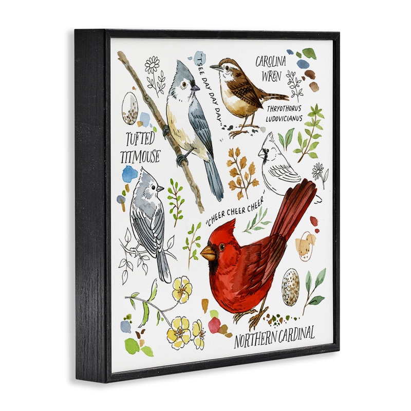Tableau d'observation d'oiseaux, estampe numérique par Jane Maday, H 24 po x l 24 po, Giclée encadrée noir minuit