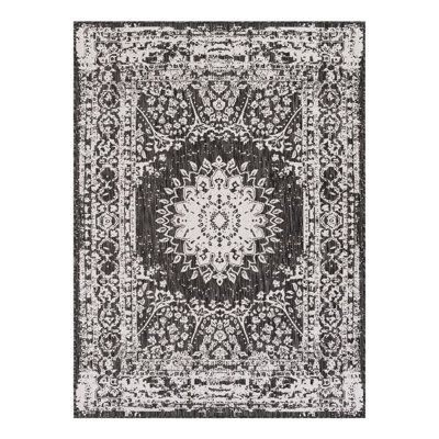 Ornate Lamotte Indoor/Outdoor Area Rug