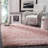 Hermina Light Pink Area Rug-1556780102