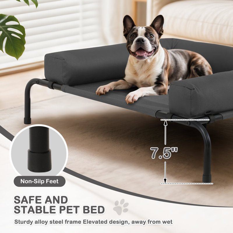 Elevated Dog Bed with Removable Cooling Cushion, Moyen (l 42 po x P 30 po x H 7,5 po), Gris