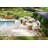 Terri 78'' Wide Acacia Patio Sofa with Cushions-1795049659