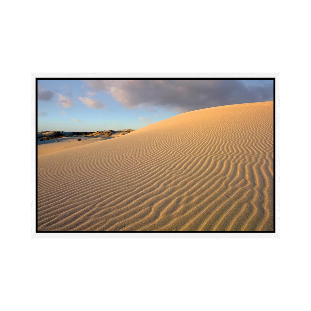 Sanddüne, Monahans Sandhills State Park, Texas