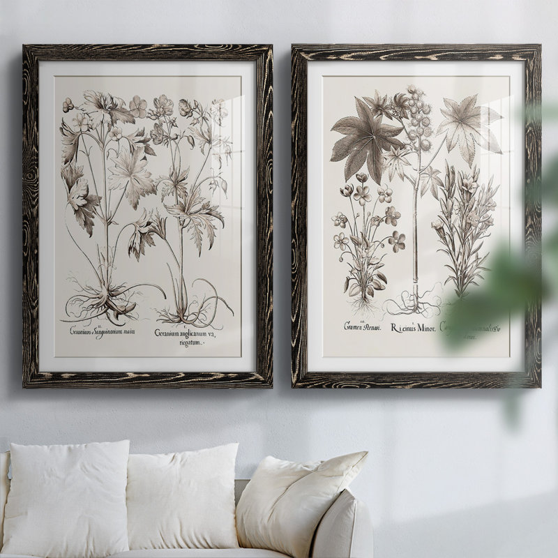Sépia Besler Botanicals V-Premium, reproduction encadrée - prête à être accrochée, H 27,5 po x l 75 po x P 1,5 po, Noir