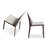 Gray Solid back side Chair(Set of 2)