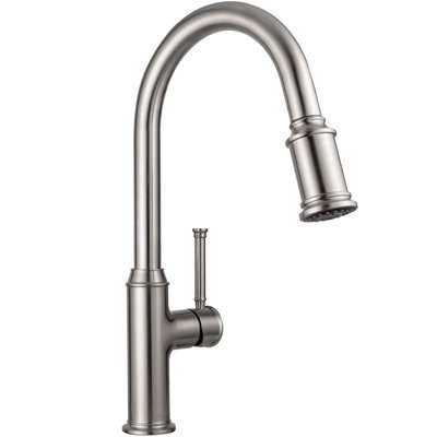 Pull Down Single Handle Kitchen Faucet with Accessories