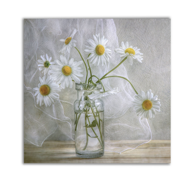 Marguerites - reproduction de photo, Toile tendue, H 24 po x l 24 po, Sans cadre