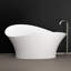 Vivian 68.9'' L Freestanding Soaking Bathtub-33486027