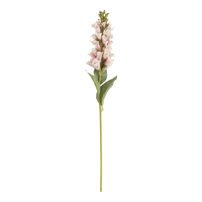 Renard floral Foxglove (ensemble de 12), Rose