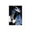 Glam et noir II - couleur inversée-2110145803-2110145815