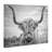 Highland Cow - Picture Frame Photograph Print on Canvas-1175299401