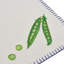 Embroidered Linen Rectangular Placemats-886029709