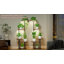 39 po de hauteur pour plante d'intérieur 39 po
