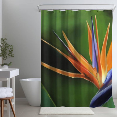Bird of Paradise Flower – Exotic Green – Polyester Shower Curtain, Dye Sublimation Print, 71" W × 74" L