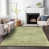 Aloe