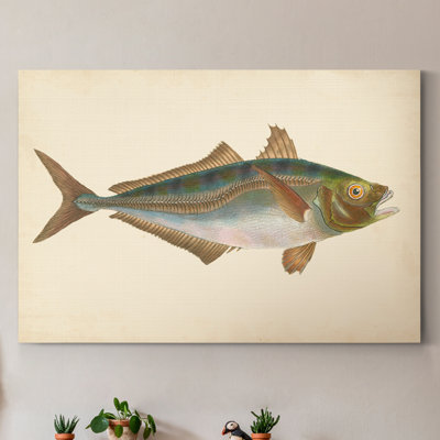 " Donovan Antique Fish III "