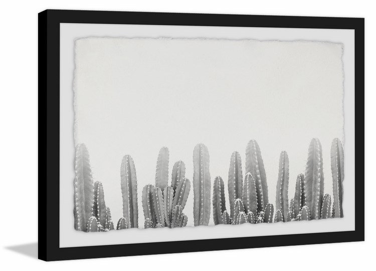 Cacti Splendor - Print on Canvas, 30cm H x 46cm W , Black Framed