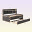 Lit de jour simple avec lit gigogne-943961771