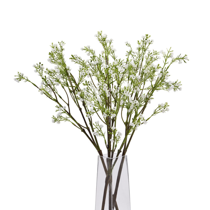 Anastasija Arrangement