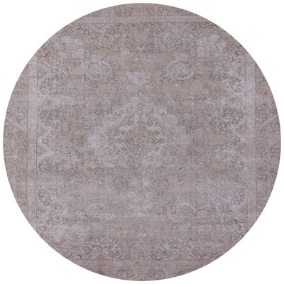 Oriental Indoor Rug