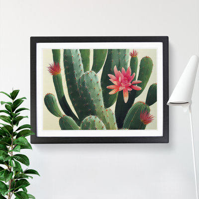 Splendorous Cactus - Framed Print