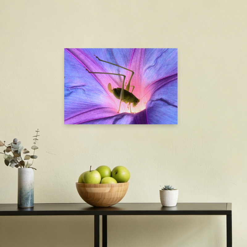 Katydid In Bloom Vibrant Grasshopper Animal Flower Wall Art Print 1 Piece Wrapped Canvas Wall Art, 101.6cm H x 152.4cm W