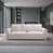 Velours beige est en rupture de stock