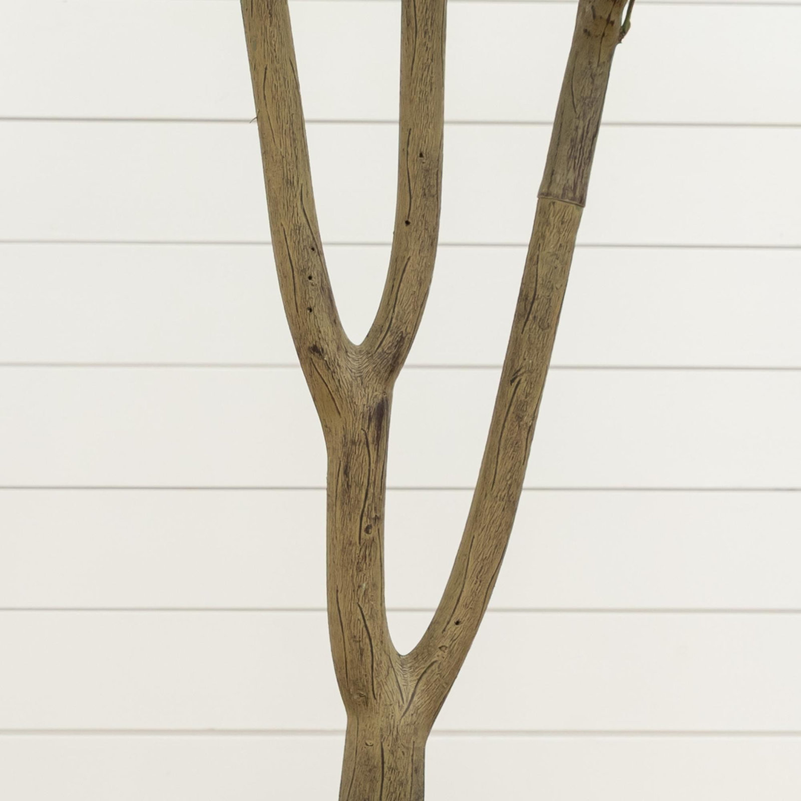 Tree, 6ft