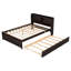 Lit simple avec lit gigogne-397519852-397519854