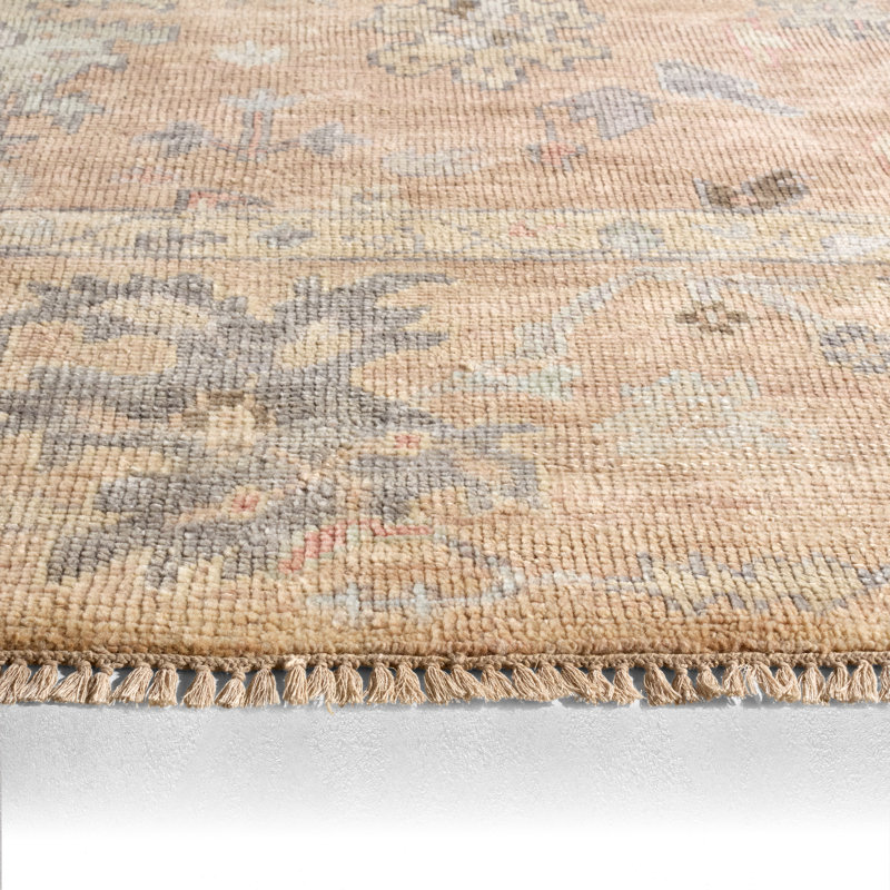 Jaipur Living Ilumina EVE10 Handknot Oriental Orange Area Rug (9'X12'), Rectangle 6' x 9'